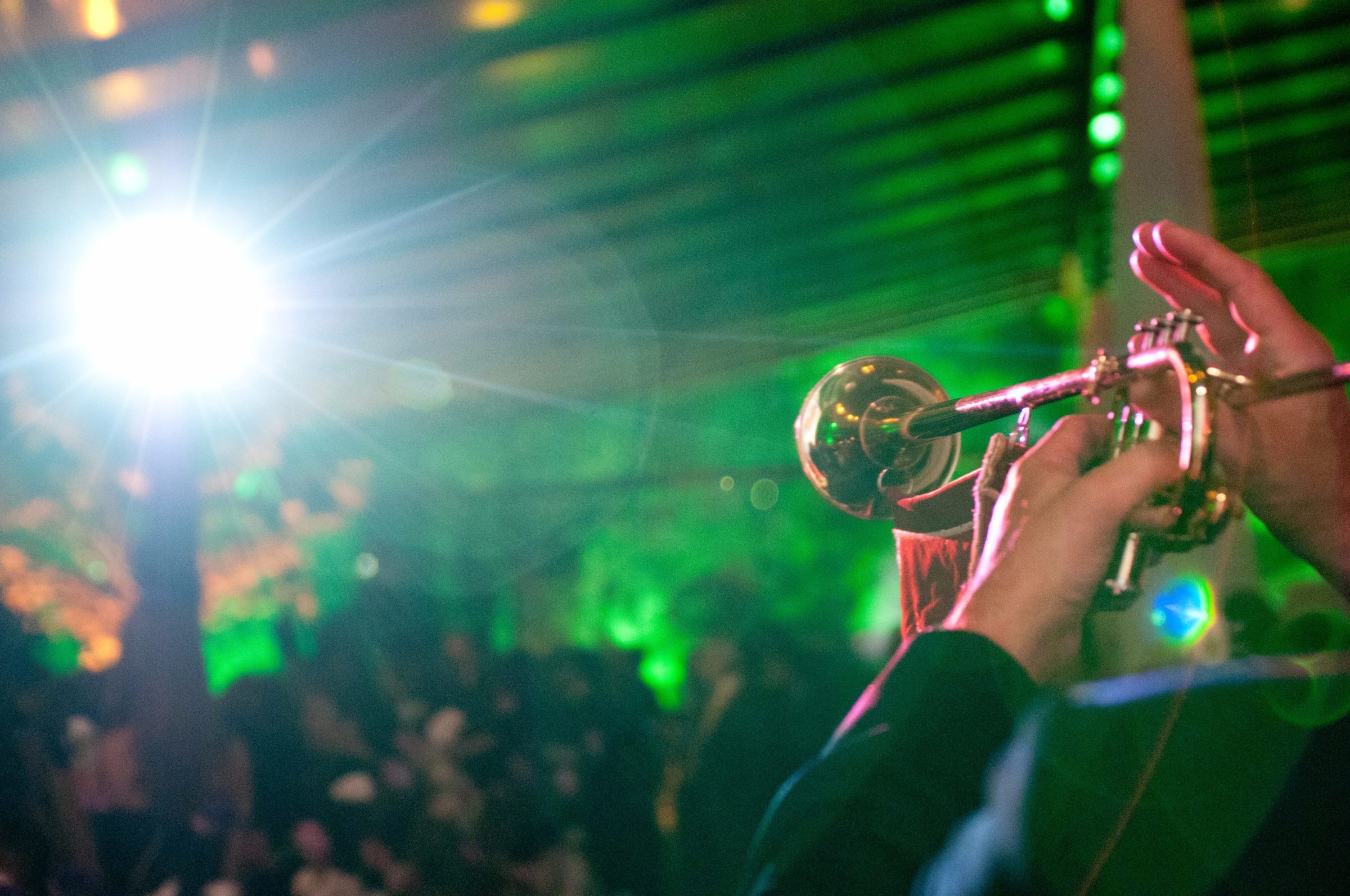 Foto de Nelson Miranda - Fotos e V&iacute;deo 5