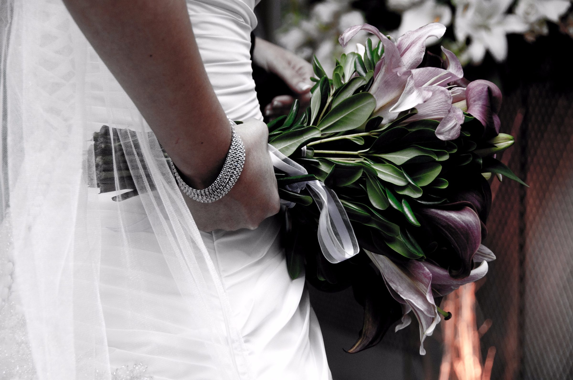 Foto de Nelson Miranda - Fotos e V&iacute;deo 14