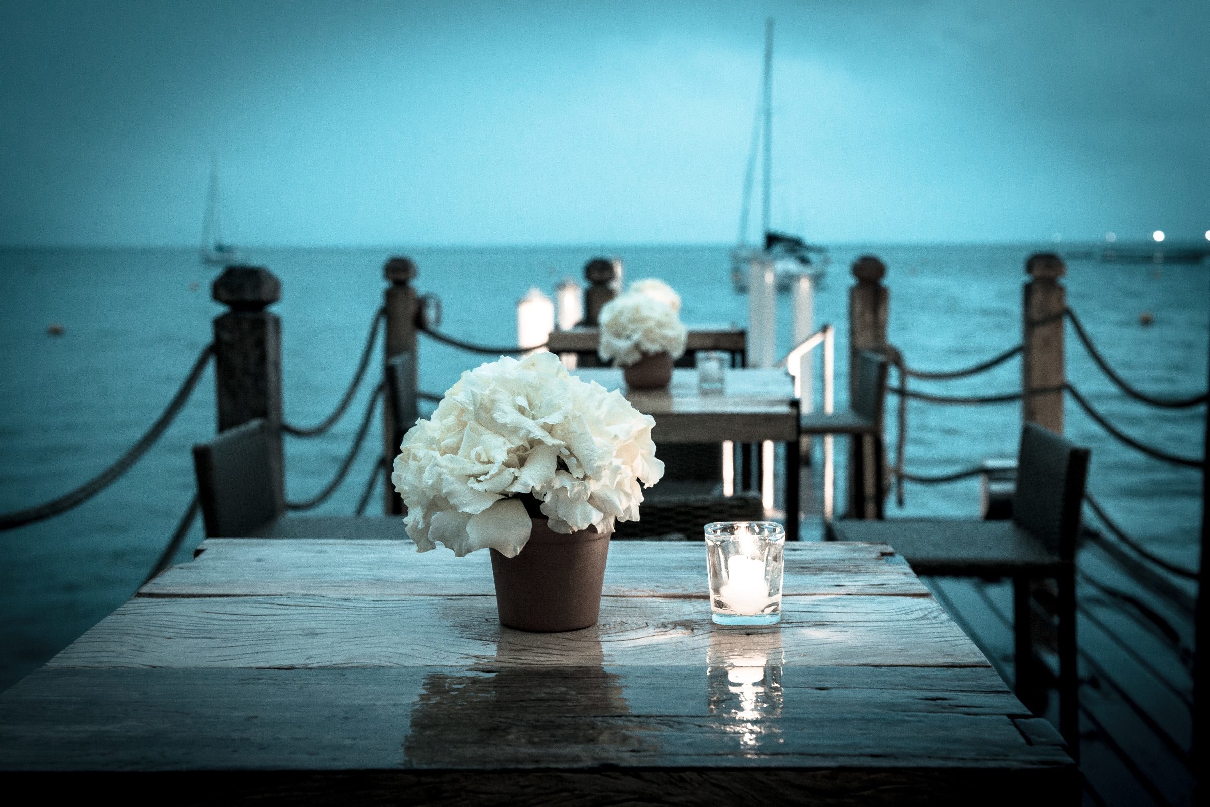 Foto de Nelson Miranda - Fotos e V&iacute;deo 0